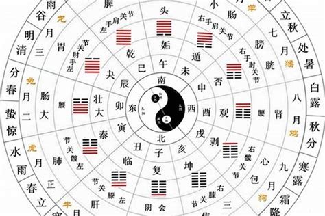 支藏天干|十二地支藏干 十二地支五行属性对照表